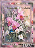 Calas y Orquídeas анимированный гифка