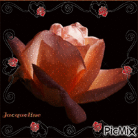 rose éternelle - Bezmaksas animēts GIF