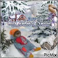 Winter Snow 2020 - GIF animado grátis