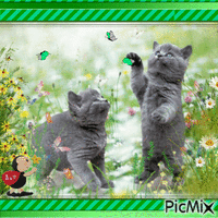 Ataque das borboletas aos gatinhos GIF animado