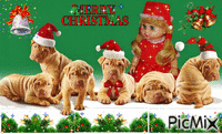 MY DOGS AT CHRISTMAS - GIF animate gratis