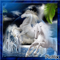 Blue Horses - GIF animé gratuit