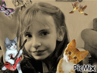 chatons - Gratis animerad GIF