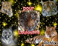 Kdo pour Louloutte51 animeret GIF