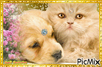 Cão e Gato анимиран GIF