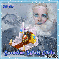 Eurasian Wolf Odin animēts GIF