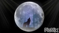 Luna... - GIF animé gratuit