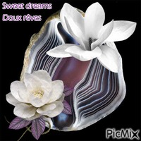 sweet dreams,doux rêves GIF animé