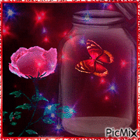 Papillons dans un bocal - GIF animé gratuit