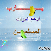 ابو جانا - Zdarma animovaný GIF