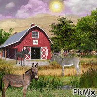 Donkey Farm - GIF animé gratuit