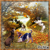 Herbsthunde spielen in Blättern