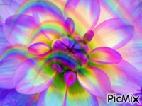 fleur sauvage - GIF animado gratis