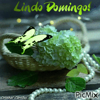 Lindo Domingo κινούμενο GIF