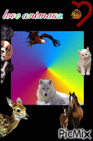 la couleure et les animaux - GIF animé gratuit