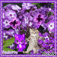 bouquet violet - GIF animé gratuit