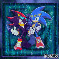 Sonic and Shadow animovaný GIF