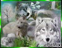 L'enfant et les loups GIF animé