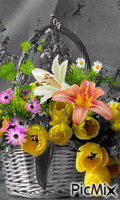 Canasta de flores. - GIF animado gratis