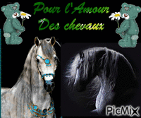 Pour l'amour des chevaux animēts GIF