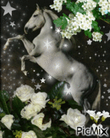 Le cheval blanc dans les étoiles - Бесплатный анимированный гифка