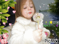 The dandelion - Gratis animerad GIF