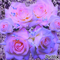 a background of lilacs 6 pink and purple roses little blue butterflies floating. animuotas GIF
