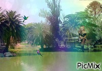Parque Rodo GIF animado