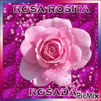ROSE - Δωρεάν κινούμενο GIF