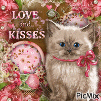 Cat, Love, Kisses-RM-07-21-23
