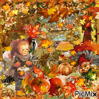 fall thanksgiving vibes