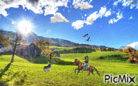 cavalo - GIF animate gratis