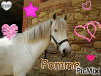 Pomme - 無料のアニメーション GIF