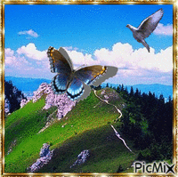 arnold158 - GIF animé gratuit