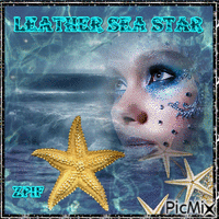 Leather Sea  Star animēts GIF