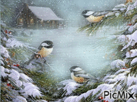 Birds in snow - GIF animé gratuit