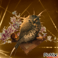Fantasy owl animēts GIF
