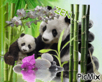 panda GIF animé