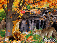 the fox in autumn Gif Animado