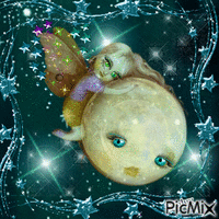cute fairy of the moon