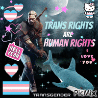 Geralt says trans rights animowany gif