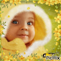 Baby, bird, yellow, lime. Contest - Free animated GIF