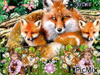 le renard et la petite fille  ma création a partager sylvie - GIF animado gratis