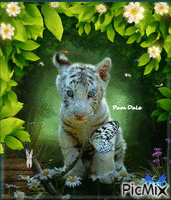 Annoyed Tiger Cub animovaný GIF