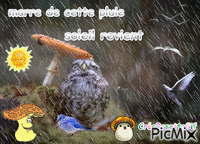 la pluie - Animovaný GIF zadarmo