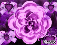 dark purple heart on a pink bow and a heart that blows up.in the middle are purple  crosses on top each other. GIF animata