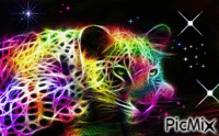 leopard etoile  fractal - Animovaný GIF zadarmo