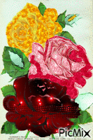 ruže animovaný GIF