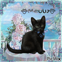 (★‿★) Black Cat (★‿★) - GIF animé gratuit