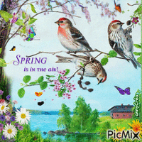 Les oiseaux au printemps